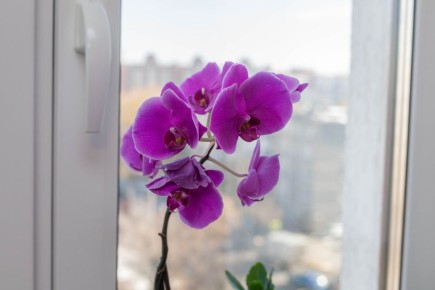 ������� ������� �������� �������, � ������� �� �� ������������