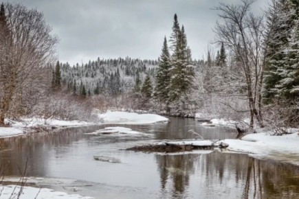 ����� ����� ��������� � ������ �������: ���������� ��������� � ���������� ��������