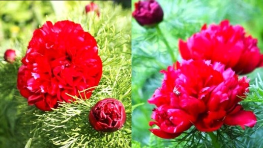 ����� ��� ������ ����: ������������� �������� ��� ������� � ����