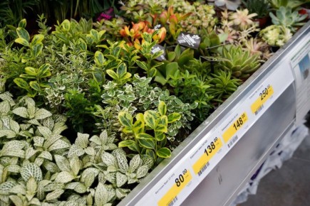 ��� ��������� ����� ��������� ����� ������� � ��������