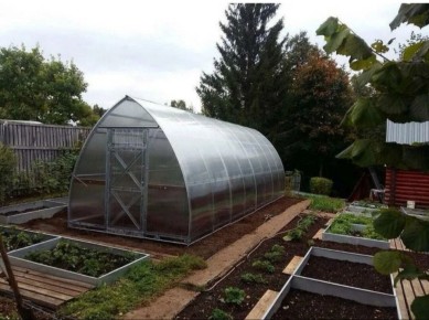 Теплица на даче: необходимость или миф?