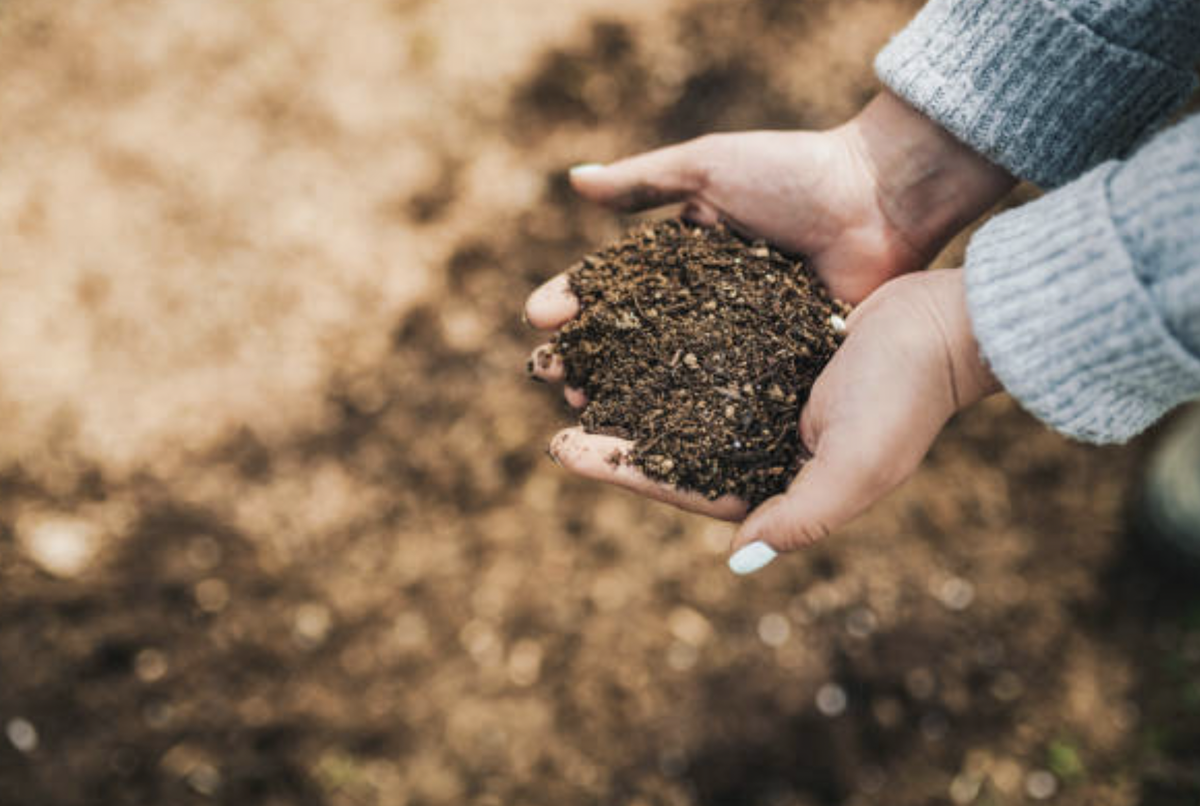 Осенние биопрепараты для плодородия: Как восстановить здоровье почвы