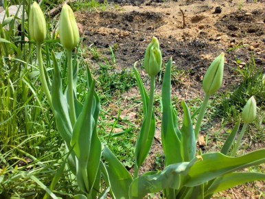 ��������, ��� ������ �����: ���� �������� � ��������� �������