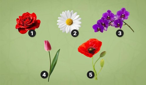 ��� �������������� ����� ���������� ���� ���������� ��������