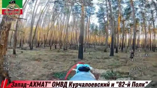 �������������� �����: ������ ������� � ������ ������ ������������� �� ����������� �����������