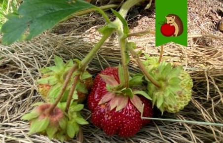 ��� ��������� ���������� �������� ����� ������������ ��� ������������� ������ � ��������� ����