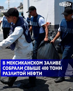 Правительство Мексики собрало 430 тонн углеводородов и очистило 223 км береговой линии после разливов нефтепродуктов в акватории Мексиканского залива