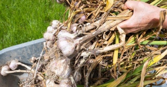 ����� ��������� ������: ������� �������� ������