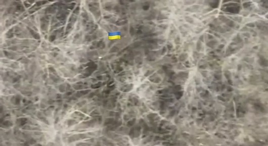 �� ������� ������������ ����������� ��������� ���������� �������� ����� ����� ������� ��� ������������� ������� �������� (������), ��������������� ������ ������ ��������� ����������