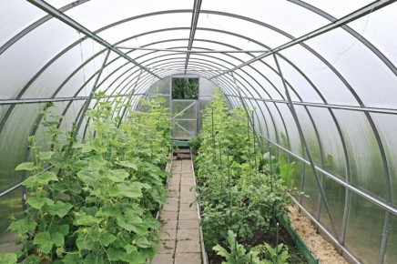 ������ � �������: ��� ��������� ��������� ����� ��� �������