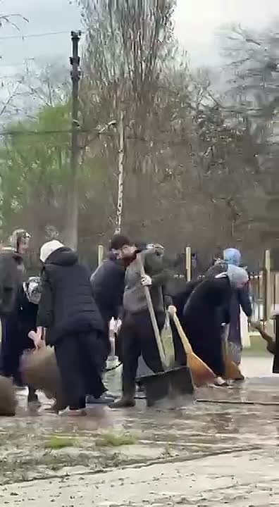 Сотрудники Государственного педагогического колледжа в Гудермесе вышли на уборку территории после недавней непогоды