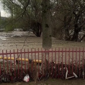 � ���������� ��������������� ������ � ������� ���� � ���� ���� ��������� ����������� ������ ��������� � ������ ��������. ���������� ����� 400 ������������ � ������� 2000 �������. ������������ 504 ��������, �� ��� 190...