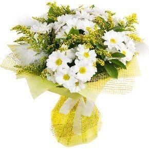 ������������ ������� ��� �������: ���� ��� ������ �������