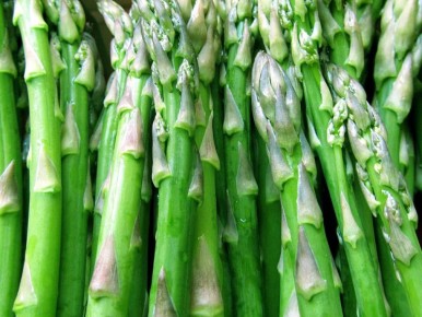 Как вырастить идеальную спаржу: советы по уходу и сбору