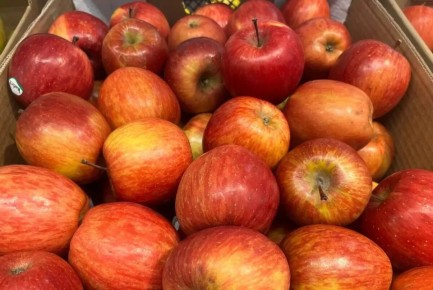 ��� ������ ����� ������ �������������� �������: ����� ����� ��������