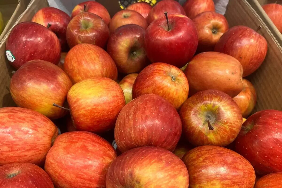 Как яблоки могут помочь контролировать аппетит: время имеет значение