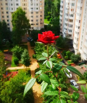 ��� ���� � ��������� ������� ����� �� ������