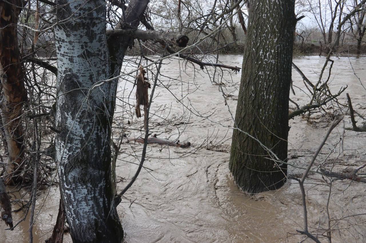 Министр природных ресурсов и охраны окружающей среды Чеченской Республики Шарпуди Абдулазизов поручил провести мониторинг качества воды после обращений жителей о её возможном ухудшении, сообщили в ведомстве Министр природных ресурсов и охраны окружающей среды Чеченской Республики Шарпуди Абдулазизов поручил провести мониторинг качества воды после обращений жителей о её возможном ухудшении, сообщили в ведомстве