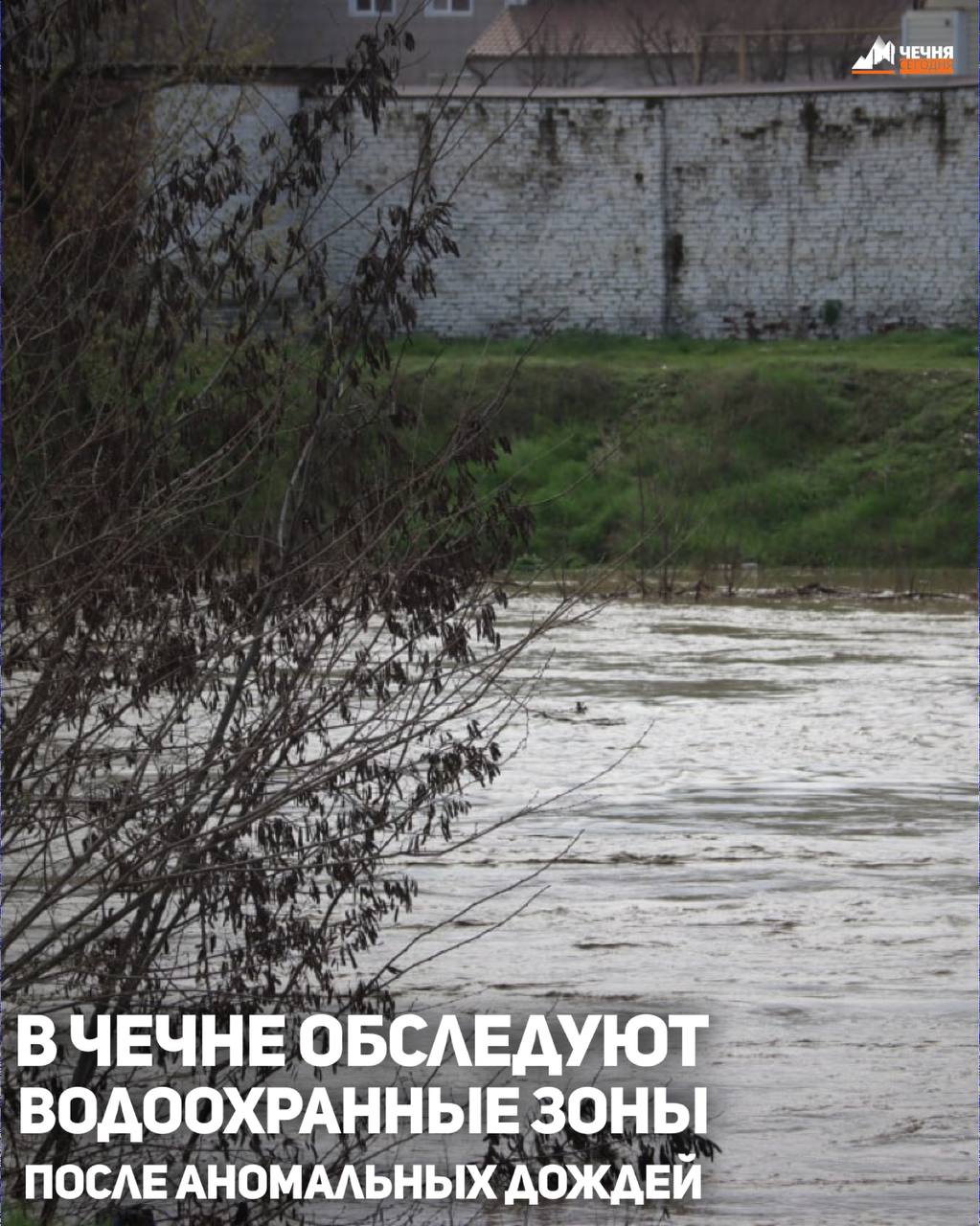 Министр природных ресурсов и охраны окружающей среды Чеченской Республики Шарпуди Абдулазизов поручил провести мониторинг качества воды после обращений жителей о её возможном ухудшении, сообщили в ведомстве