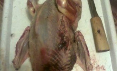 ��� ����������� ������� ����������� � �������: ������� � ������