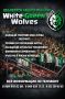 В Фан-клубе White-Green Wolves сообщили о запуске уникальной программы поддержки для преданных поклонников футбольного клуба «Ахмат»