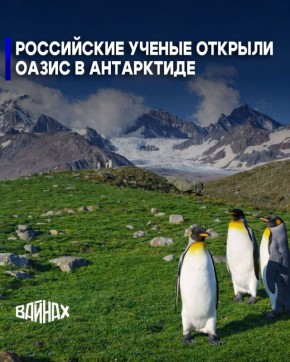 ����� ������ ������ � ��������, ������������� ����������� ������� ��� ���������� ������ ����� ����� 12 ��������, � ��������� ��� ���� ���� �������� ������� 2,2 ���������� ���������