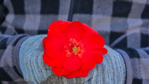 ����������� �������: ��� ��������� � ���������� ������� �����