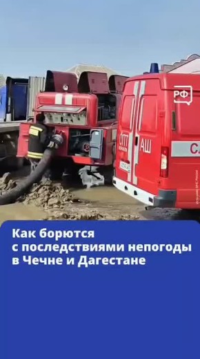 ���� � �������� ����, �� ������ ������������: � ����� � ��������� ���������� ��� ����������� ����������� ��������, ��������������� ����������� ������� � ���������� ���� �� ������ � ��������