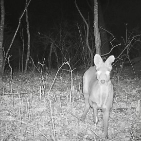 ����� ����������� ����� �� �������� �� ������ ��������