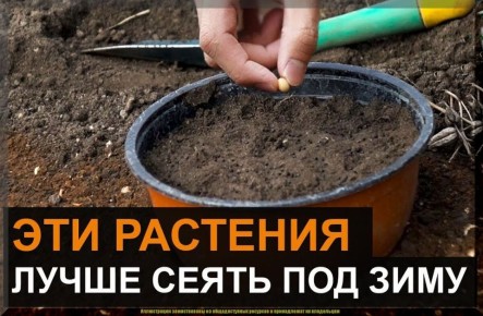 ������� �������� ��������� �������: ��� ������ �� ����������� �������