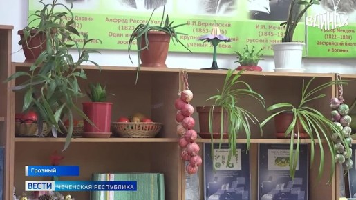 � ������� �������� ���������� � ������������������� �����������, ��� ������� � ������ �������������� ����� ������������� ����������� ����� ������ � ��������� ������-����������������� ���������� ��������� ���������