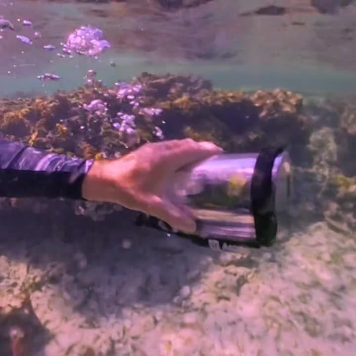 Мужчина создал мини-батискаф для своего попугая — теперь пернатый исследует подводный мир у берегов Багамских островов