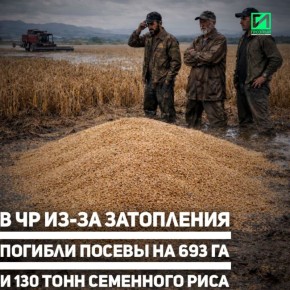 Чеченская Республика продолжает ликвидировать последствия мощного паводка, вызванного комплексом неблагоприятных погодных явлений 27–28 марта