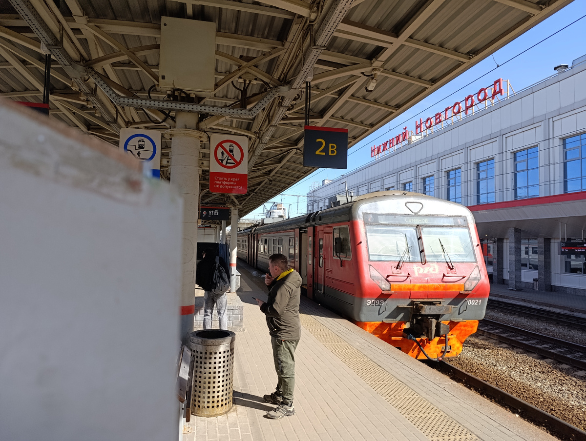 Избавление от колючек: уход за дачным участком