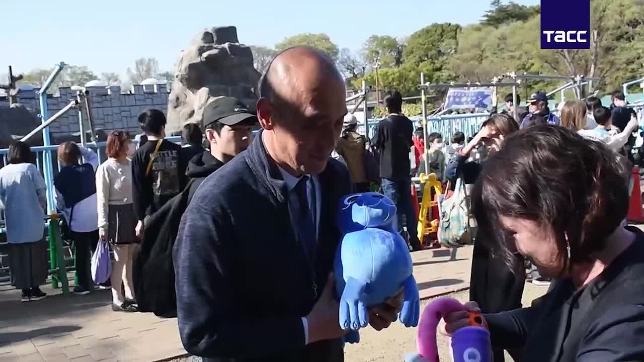 Московский зоопарк передал Панчу мягкую игрушку от морского зайца Макса, чтобы та утешала малыша и "всегда была рядом"