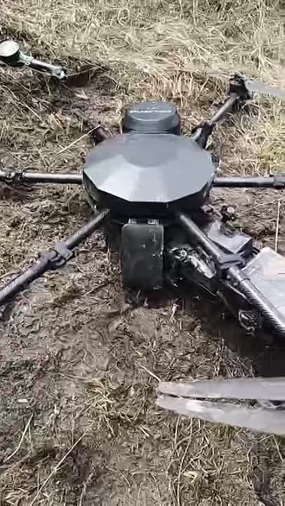 �� �������� ������������ ����������� ������� ��������� ����� ������� 204-�� ����� �������� �����һ �� ��. ����� ��������� ������� ������ �� �������� ������ ������� ��������������� ���������� ������� � ������� ������������...