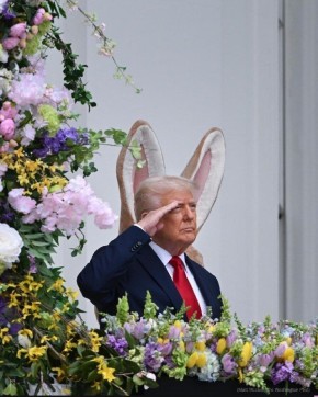 ����� ������� ���� ������ ���