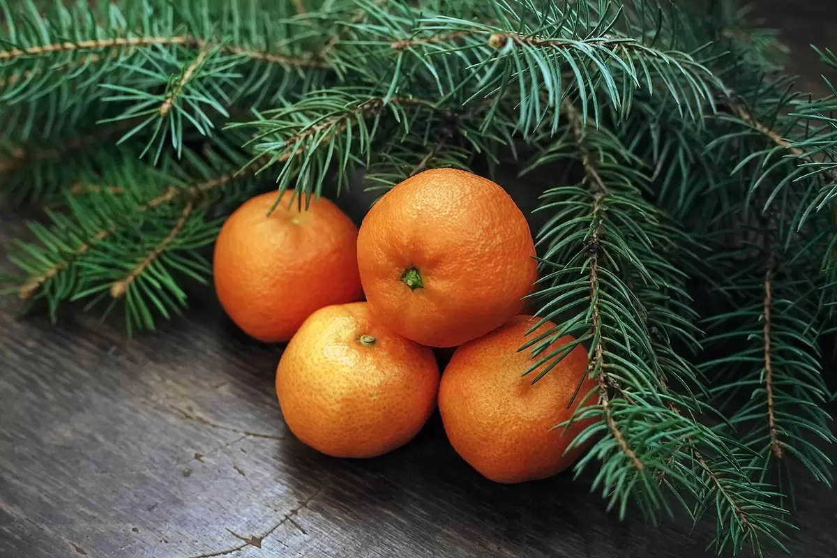 Идеальные мандаринки: как выбрать самые сладкие на Новый год