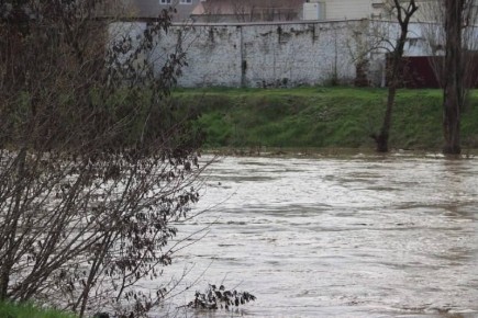 � ���� ������-����� ��������� ������ �� ������ ���� � ���������� ����������� ������������ ��������, ������� ����� �����-������������� ������ �������� �����.