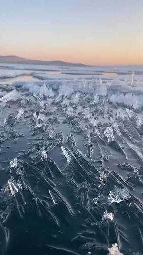 ����� �� ����� ������