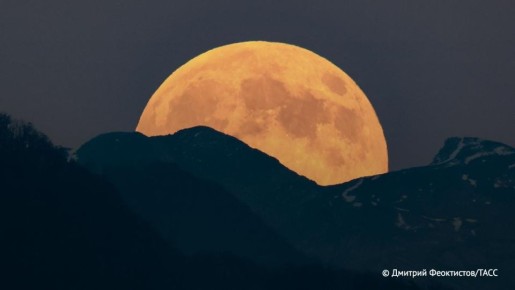 Атомная станция, разрабатываемая учеными РФ, должна начать работу на Луне к 2036 году, заявил вице-президент НИЦ "Курчатовский институт" Александр Благов