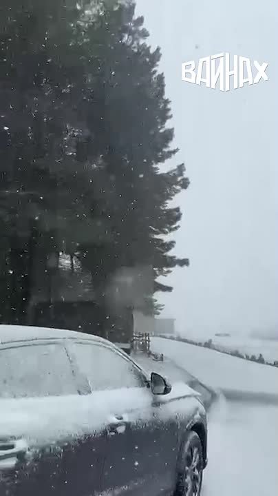 8 апреля в селе Беной Ножай-Юртовского района выпал снег