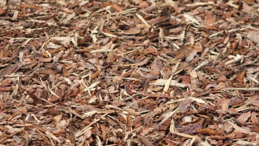 ������ ����� ������� ������������� �����?