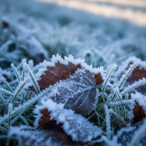 � ��������� ���������� � 9 �� 12 ������ ��������� ������� ����� � ���������