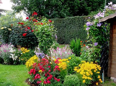 ������ ������ ���� � ������ ������� ������������ �������: ������� ��������� �������