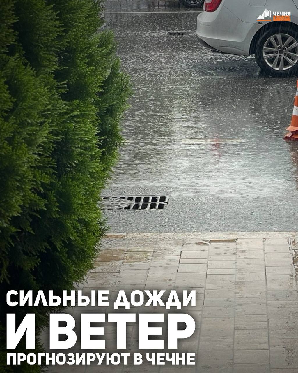 Сильные дожди, грозы и шквалистый ветер ожидаются в Чеченской Республике с 11 по 14 апреля, сообщили в Главном управлении МЧС России по Чеченской Республике