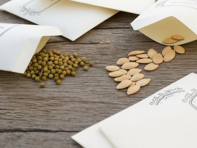 ������ ������� �����: ��� ����������� ��������� ������ � ������ 2026