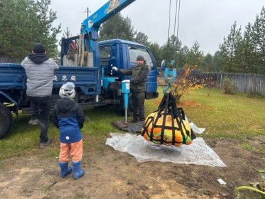 Сибирская тыква побила все рекорды на конкурсе