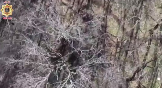 �������� ����� ����� ������� �� �� ��������� ������� ���������� �� ����������� �����������