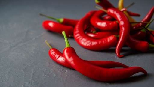 ������ � ����: ����� ���� � �������